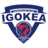 伊戈卡 队徽